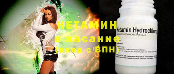 сатива Тобольск