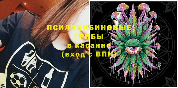сатива Тобольск
