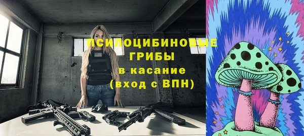сатива Тобольск
