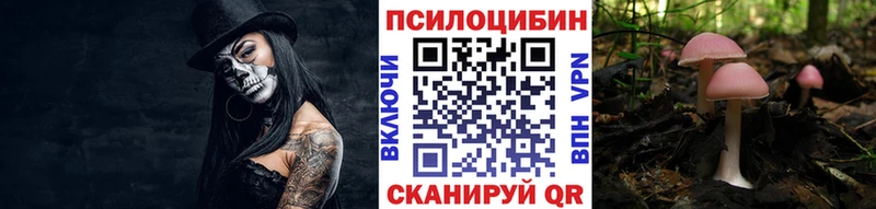 Купить где  Гаврилов Посад  Псилоцибиновые грибы Psilocybe 